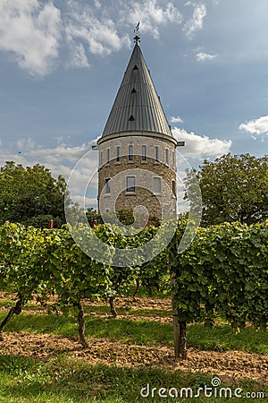 Observation tower in the vineyards of FloÌˆrsheim-Wicker Stock Photo